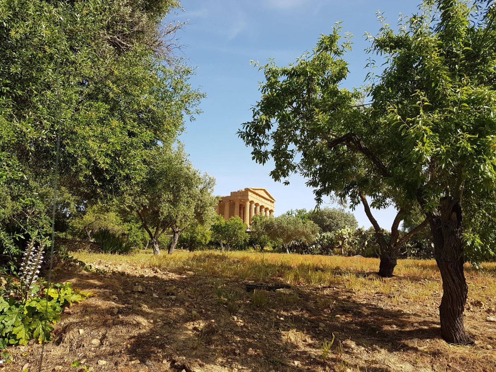 Lala Salama San Leone Bagian luar foto